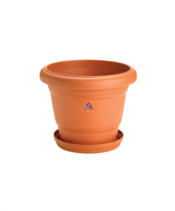 family lilly planter 10 with tray